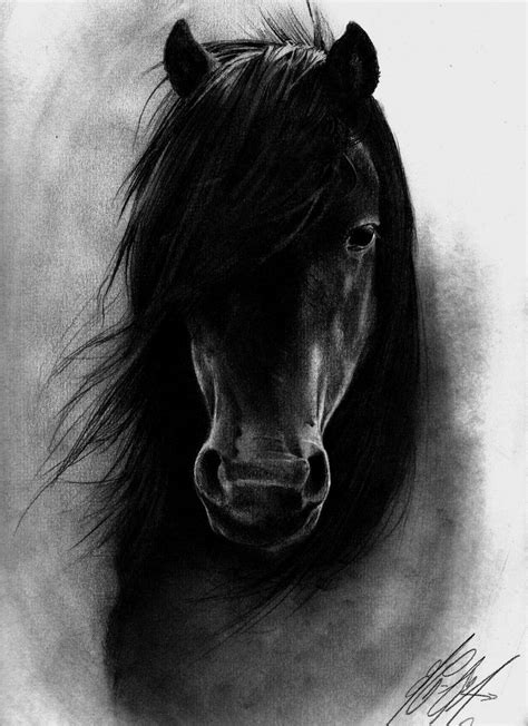 Beautiful Horse Drawing Realistic Animal Drawings Horse Drawings