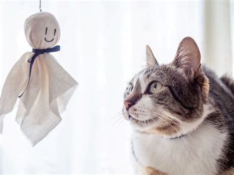 Hirschpärchen basteln mit kastanien und eicheln. Bastelanleitung Tiere Zum Ausdrucken Katze : Https ...