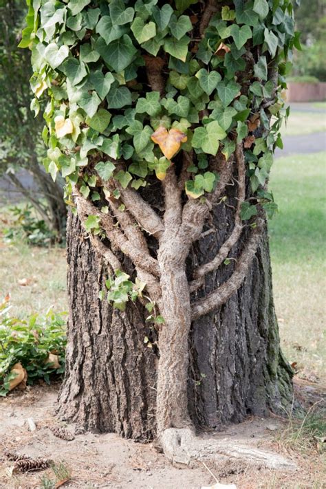 Mit haus bodelschwingh war seit 1324 das gericht mengede, seit 1366 die freigrafschaft bodelschwingh verbunden. Wohnen - Bodelschwingh-Haus