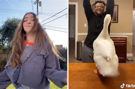 The Most Viral Tiktok Songs Of 2020 So Far