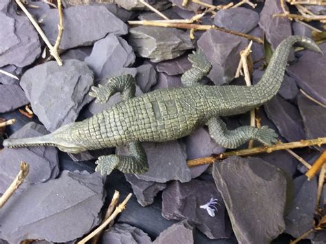 Gharial Wild Animals By Papo Animal Toy Blog