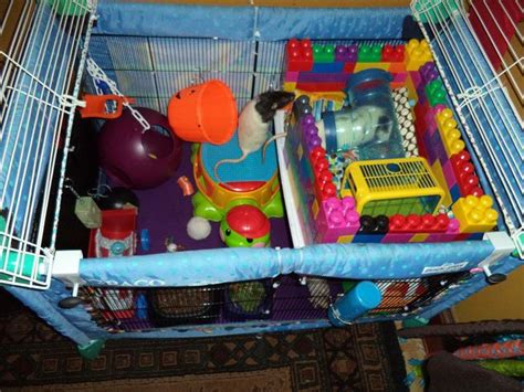 14 Best Images About Diy Rat Cages On Pinterest Mansions Hamsters