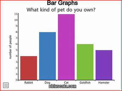 Bar Graphs Graph