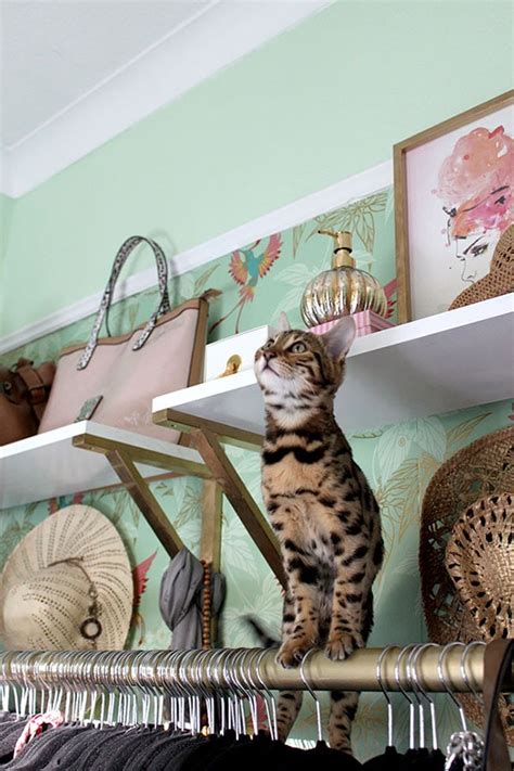 Living Pretty With Your Pets Swoon Worthy Cuckoo4design