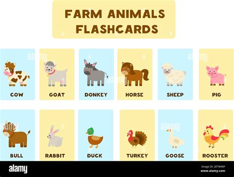 Farm Animal Flashcards For Kids Vector Illustrations Of Farm Animals