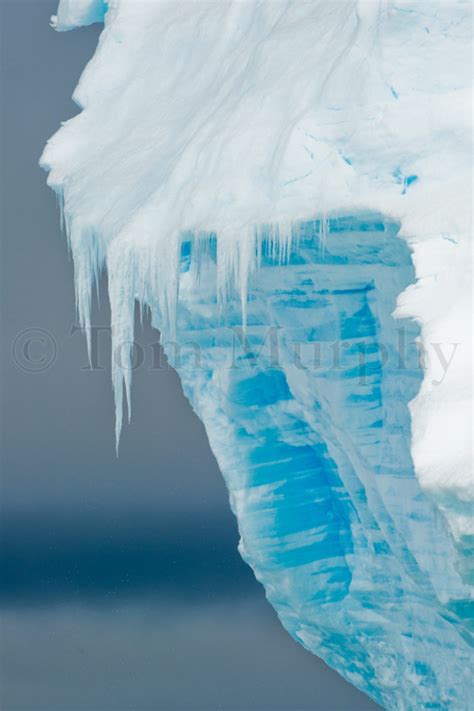 Iceberg Icicles Tom Murphy Photography