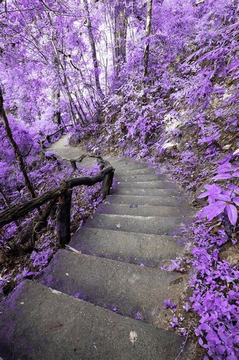 Our Beautiful Planet On Twitter Violet Aesthetic Purple Wallpaper
