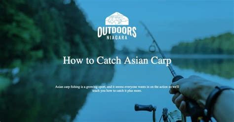 How To Catch Asian Carp Outdoorsniagara