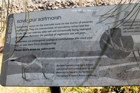 Save Our Saltmarsh TINY HOME BIG LAND