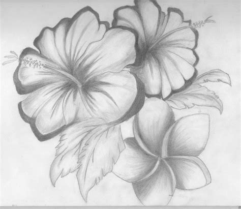 Drawings Of Flowers Shaded Flowers By ~something Easy101 On