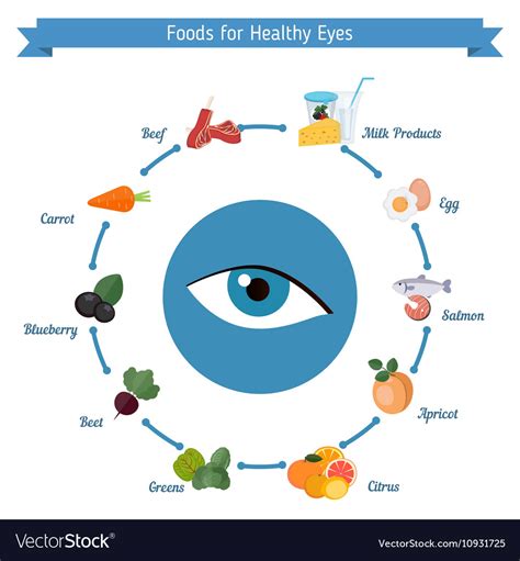 Healthy Eyes Foods Infographics Royalty Free Vector Image