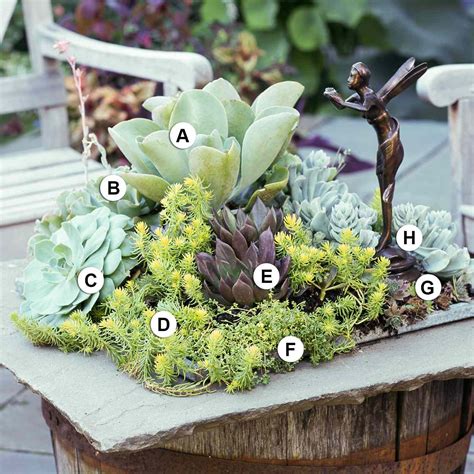 Succulent Container Garden Plans Better Homes And Gardens