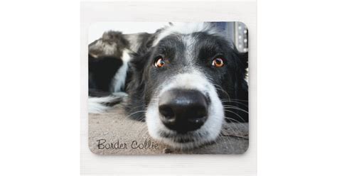 Border Collie Mouse Pad Zazzle