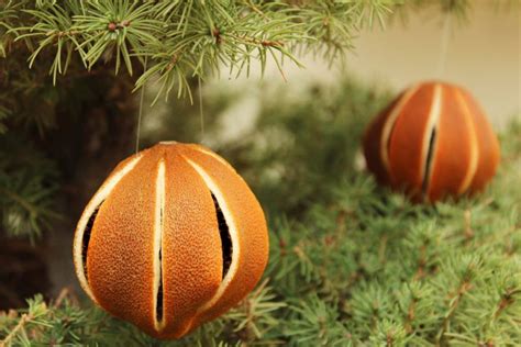Diy Christmas Decoration With Dried Oranges