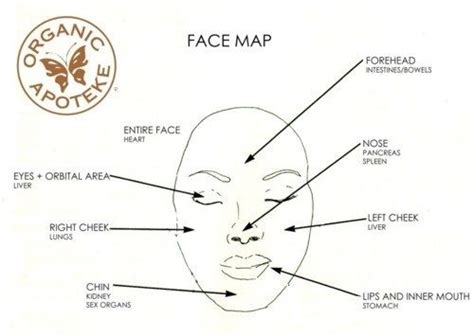 What Is Your Acne Telling You Acne Face Map Face Mapping Face