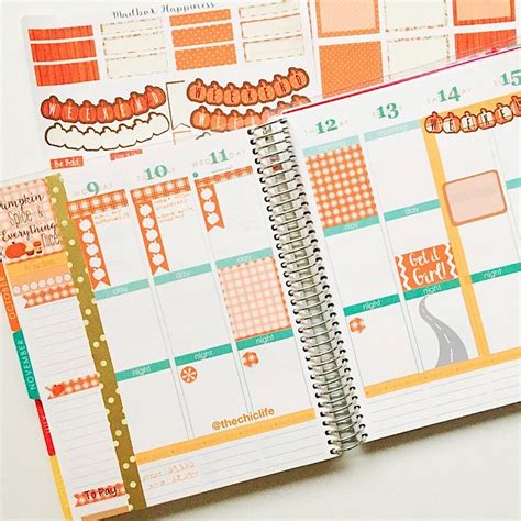 After designing a few planners, you can turn them into a collage and get one integrated schedule to better realize your plans. Planner Decoration Ideas: November 2015 (Erin Condren ...