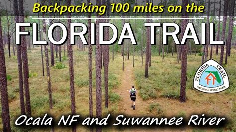 Backpacking On The Florida Trail The Best 100 Miles Ocala National