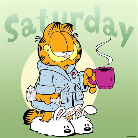 Pin By Ligia Gomes On Garfield The Cat Garfield Cartoon Saturday