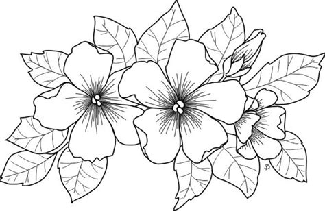 Dibujos De Flores Grandes Para Colorear Printable Flower Kulturaupice