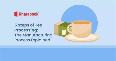 A Guide To Tea Manufacturing 5 Steps Of Tea Processing