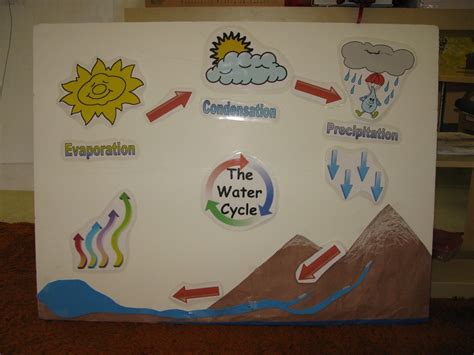 Kids Science And Nature September 2011 Science Activities Water Cycle