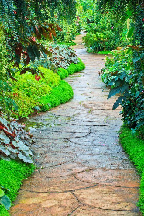 20 Best Landscaping Wooded Areas Images Garden Design Garden