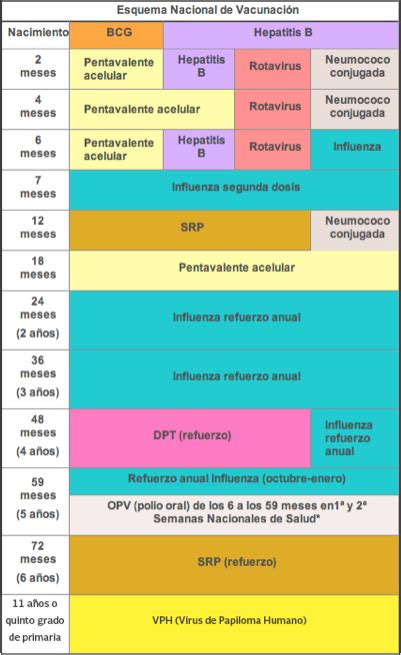 Daily new cases in mexico. Calendario de vacunación infantil en México por edades