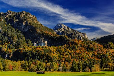 Hd Wallpaper Landscape Forest Bayern Munich Germany Autumn Repair