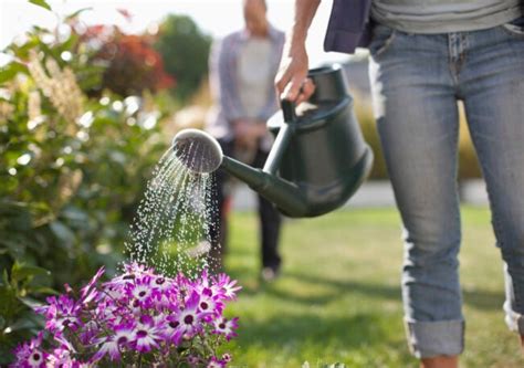 Watering Plants How Much Should You Water And How Often Bob Vila