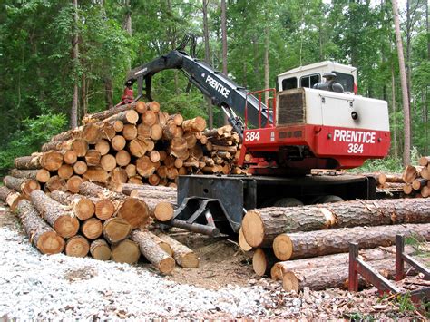 Timber Management Duke Forest