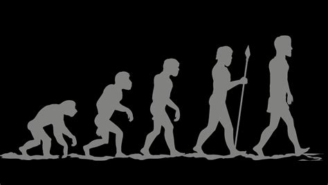 The evolution of human evolution