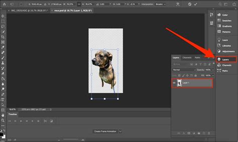 How To Resize Images In Photoshop Easily