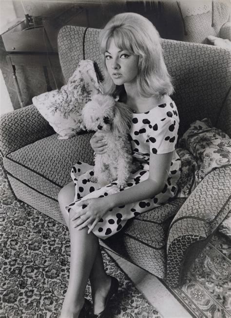 Npg X137326 Mandy Rice Davies With Her Poodle Portrait National
