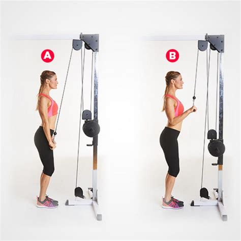 √ Tricep Workouts With Straight Bar