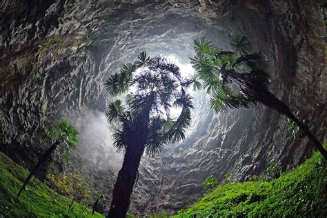 Giant Sinkhole Reveals Massive Ancient Forest In China