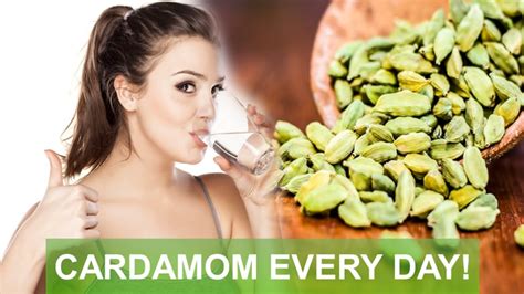 The 15 Surprising Health Benefits Of Eating Cardamom Every Day See