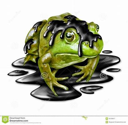 Frog Dirty Polluted Fauna Its Victim Illustration