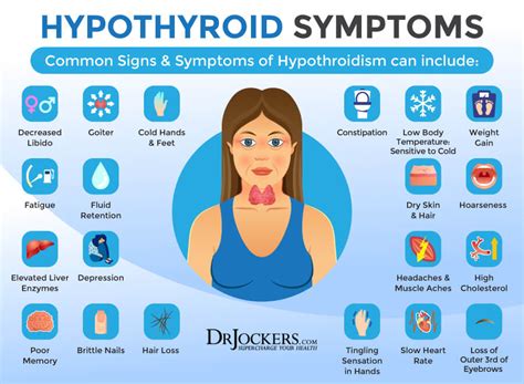Ppt Hypothyroidism Under Active Thyroid Symptoms Causes And Hot Sex Picture