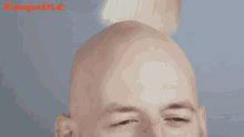Bald Gifs Tenor