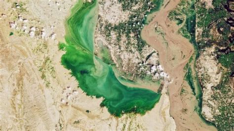 Water Level Rises Again At Manchhar Lake Human Rights News Worldwide