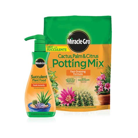 Miracle Gro Cactus Palm And Citrus Potting Mix And Miracle Gro Succulent