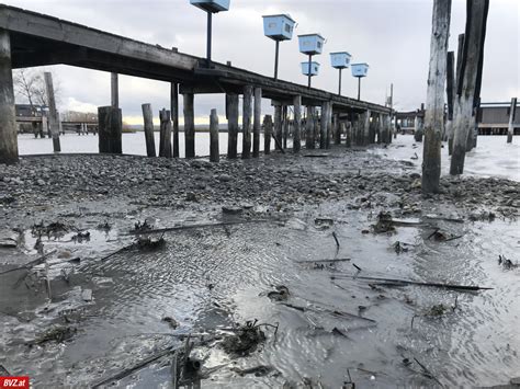 Wetterphänomen Neusiedler See Sorge Um Wasserstand Bvzat