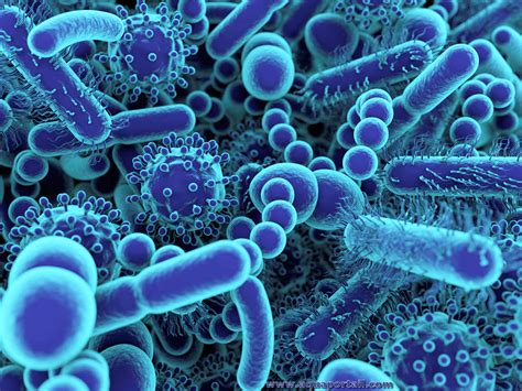 Microbiome Définition Et Explications