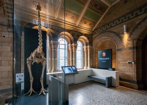 Natural History Museum London Inexhibit
