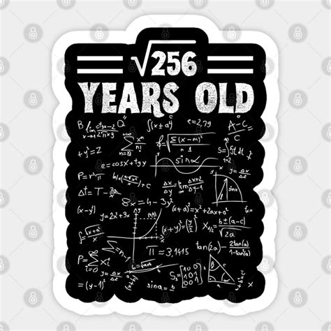 Square Root Of 256 16th Birthday 16 Year Old Math Lover T Square