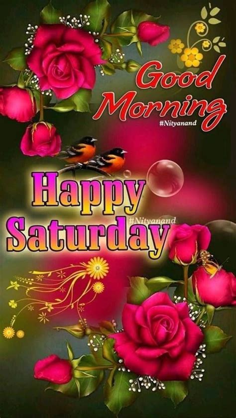 Happy Saturday Images Quotes To Share Good Morning Saturday Images Happy Saturday Quotes