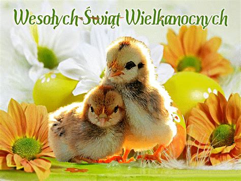 Kartka Z Kurczakami Wesołych Świąt Wielkanocnych Y I Obrazki Na