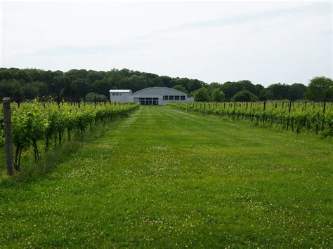 Follow The Connecticut Wine Trail To Saltwater Farm Vineyard Trip101