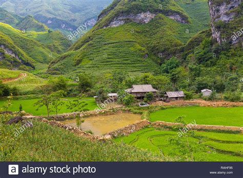 Small Mountain Farmhouse And Rice Patty Ha Giang Loop Ha Giang