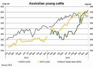 Annual Average Cattle Prices Lift To 30 Year High In 2015 Meat